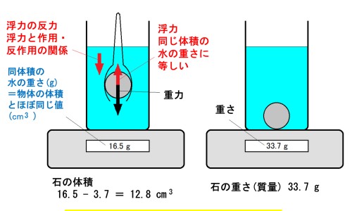 野烟叶根的功效与作用及禁忌-野烟叶根的功效与作用网 :分享野烟叶根主治什么病-野烟叶根主治什么病知识
