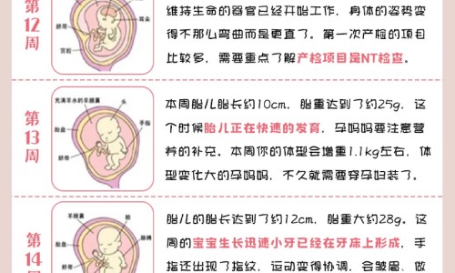 野烟叶根的功效与作用网 :分享野烟叶根主治什么病-野烟叶根主治什么病知识