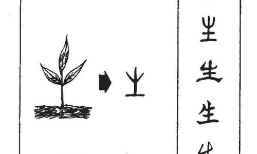 野烟叶根的功效与作用及禁忌-野烟叶根的功效与作用网 :分享野烟叶根主治什么病-野烟叶根主治什么病知识