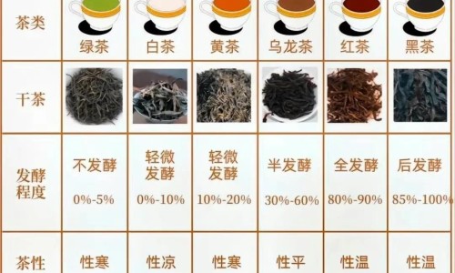 野烟叶根主治什么病-野烟叶根的功效与作用网 :分享野烟叶根主治什么病-野烟叶根主治什么病知识